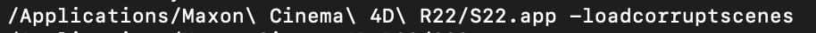 Terminal command with -loadcorruptscenes